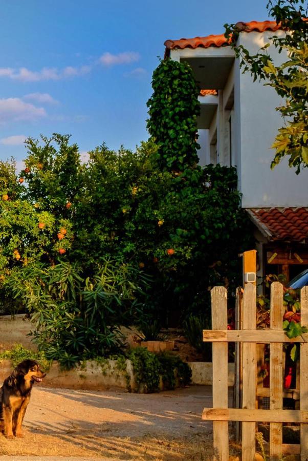 Vineyard Country House With Panoramic Seaview أليكسانثيربوليس المظهر الخارجي الصورة