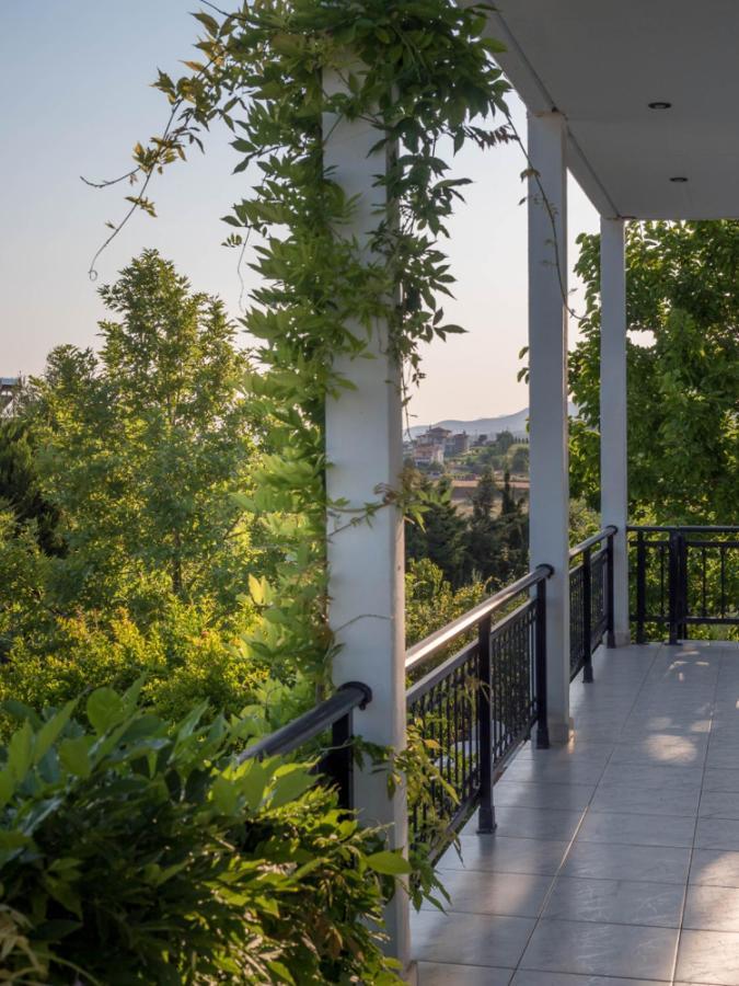 Vineyard Country House With Panoramic Seaview أليكسانثيربوليس المظهر الخارجي الصورة