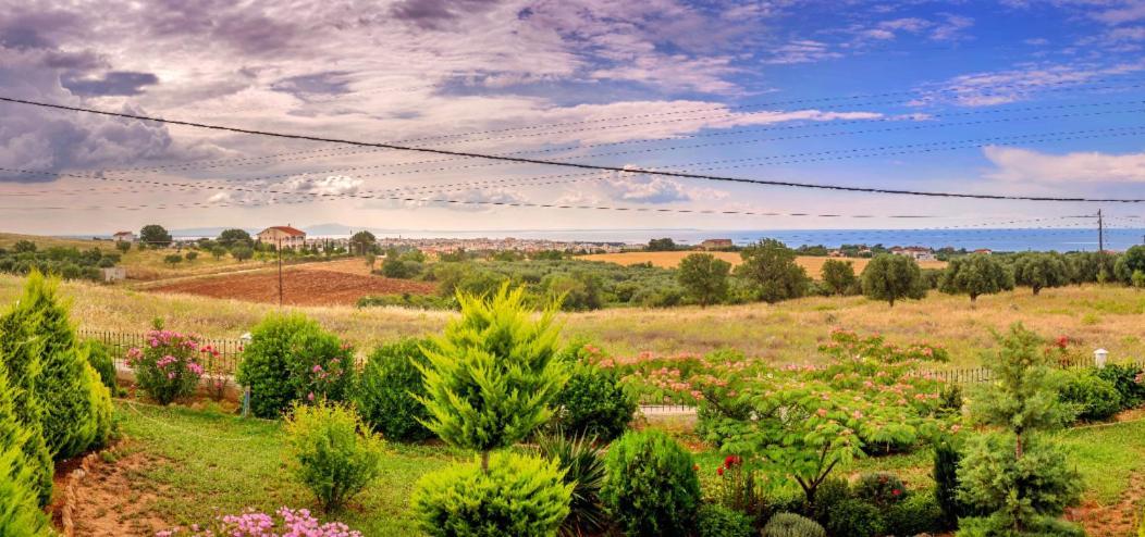Vineyard Country House With Panoramic Seaview أليكسانثيربوليس المظهر الخارجي الصورة
