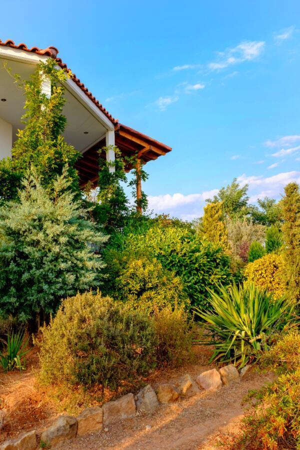 Vineyard Country House With Panoramic Seaview أليكسانثيربوليس المظهر الخارجي الصورة