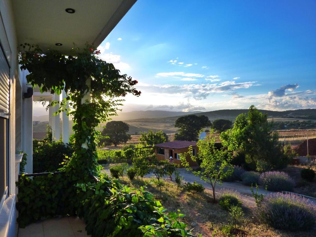 Vineyard Country House With Panoramic Seaview أليكسانثيربوليس المظهر الخارجي الصورة